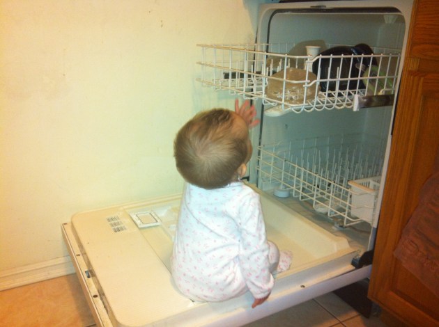 The beginning of you getting into everything. The next series of pictures really captures this!