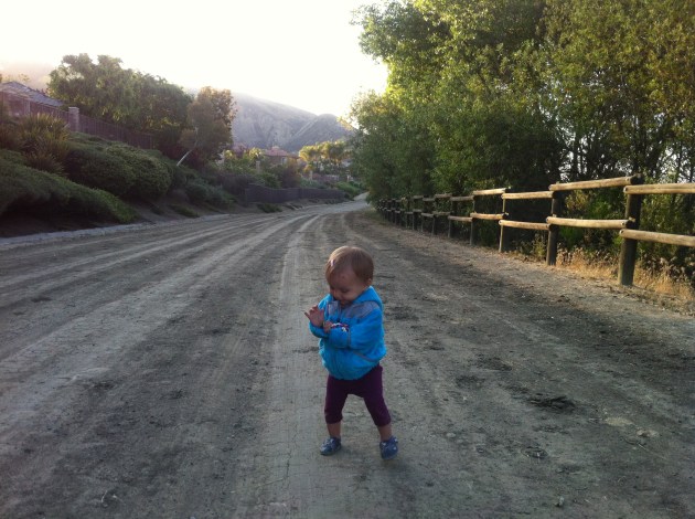 On a walk on the road behind our house