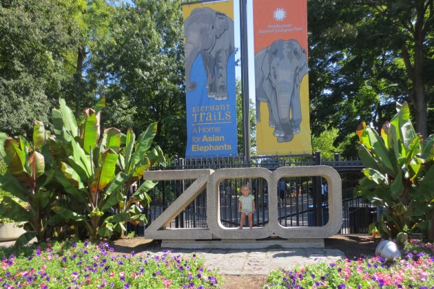 The Washington D.C. Zoo. The following pictures are from our trip.