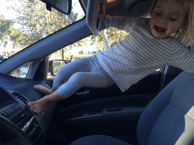 Have I mentioned that you like to climb? Even in the car. 