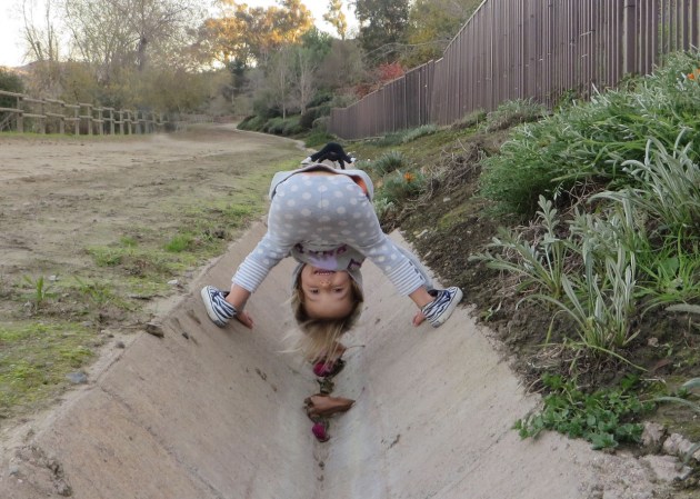 Sage drainage channel
